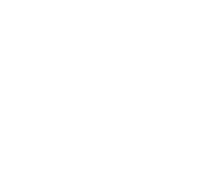 Your WP Guy