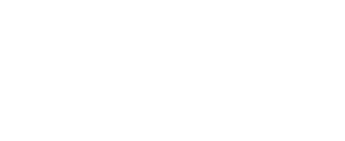 YourWPGuy_Wordmark_White